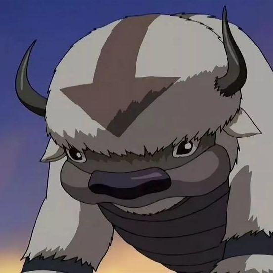 Appa--- avatar