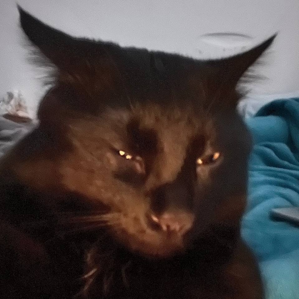Moor