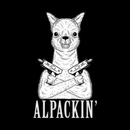 Cambini FACEIT avatar