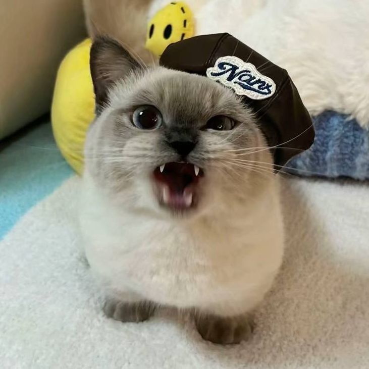 Zyw0o_zy avatar