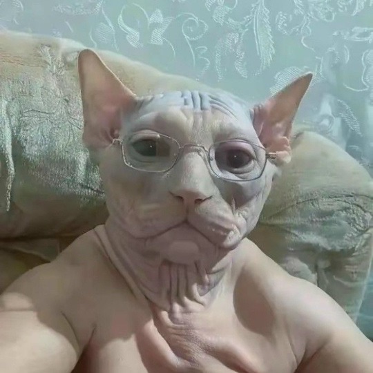 vagabor