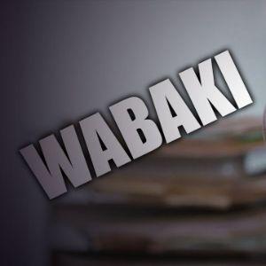 5MEDEN avatar