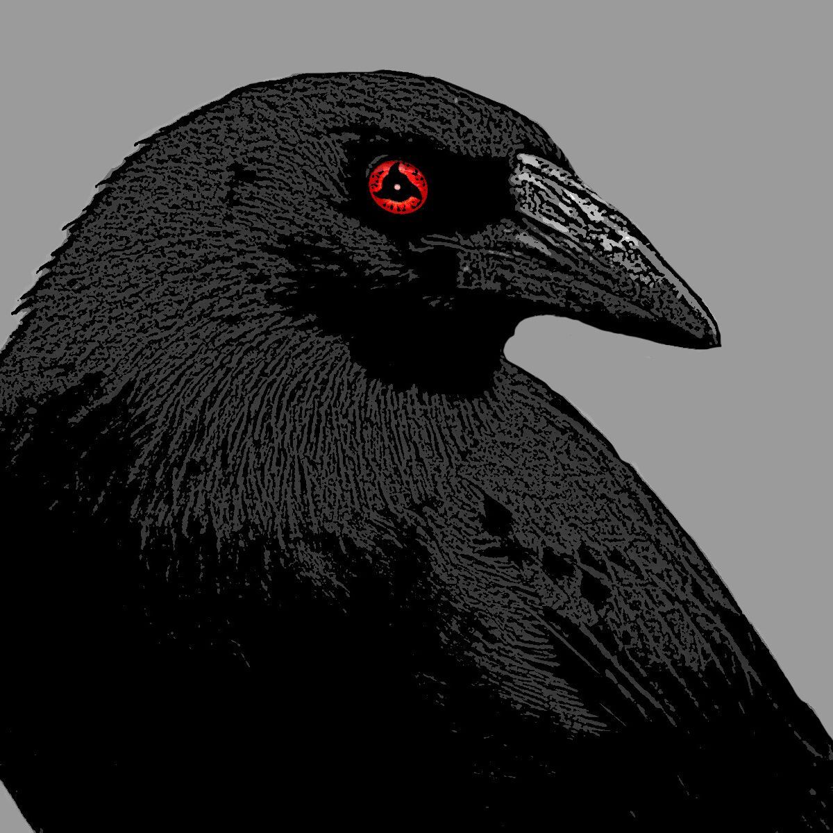 Raven Squad