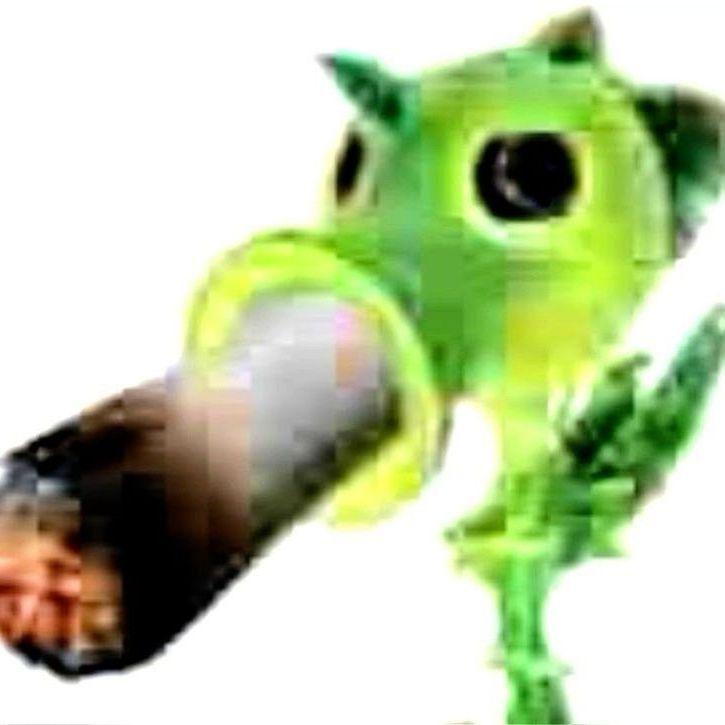 elyasosala avatar