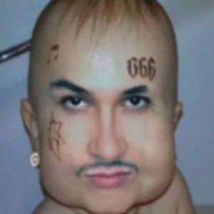 -441 elo