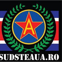 team_RaicuL