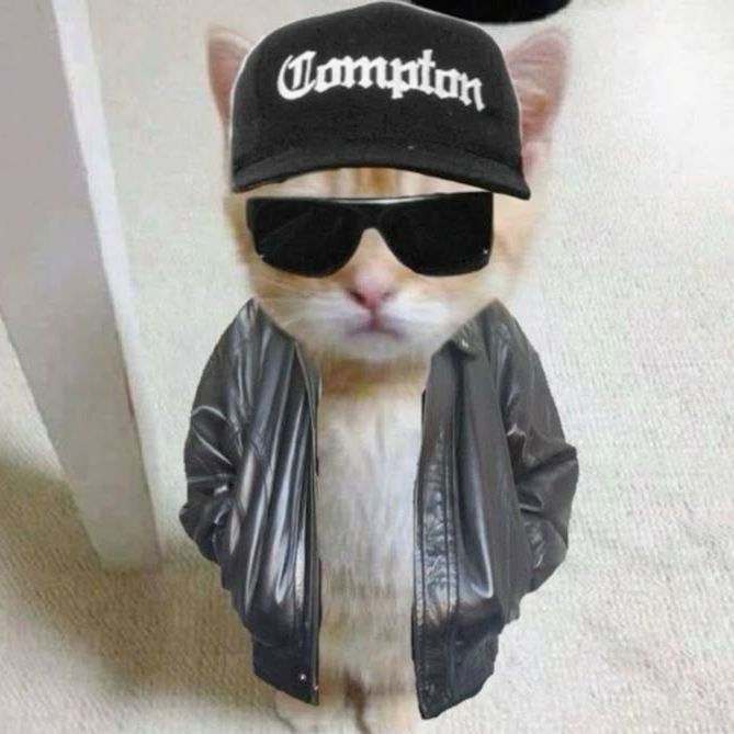 AlexAllno_