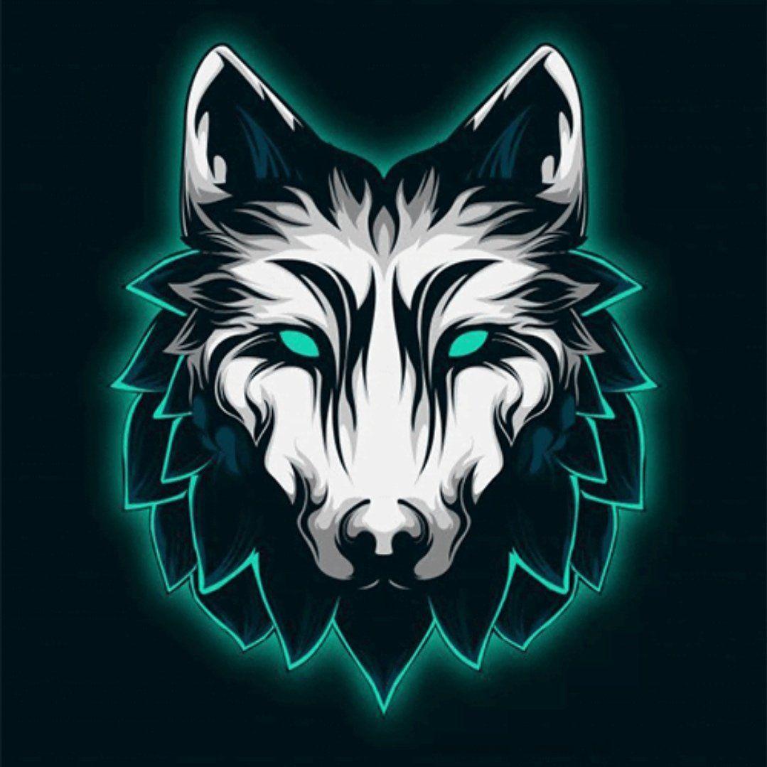 akhmet98kz avatar