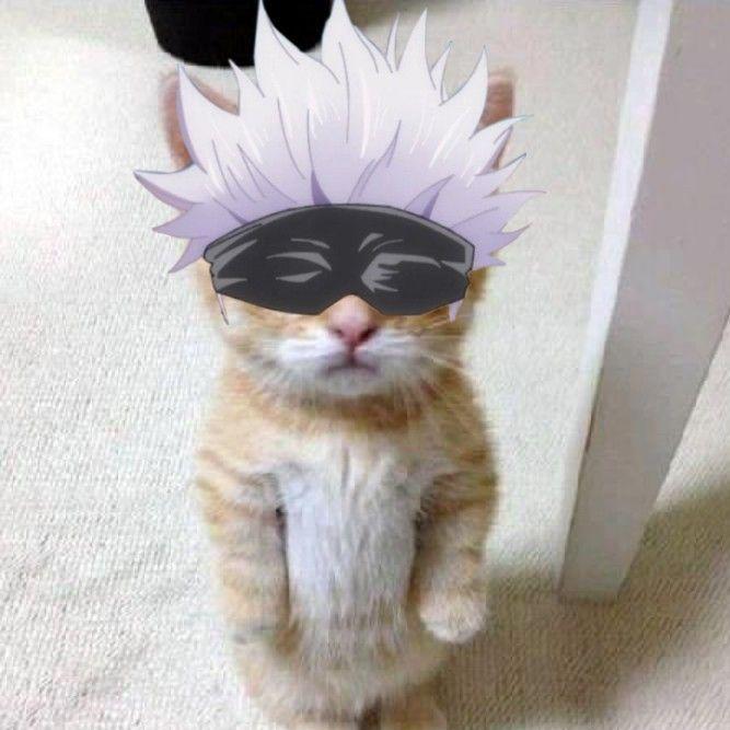 sGOJ0 avatar
