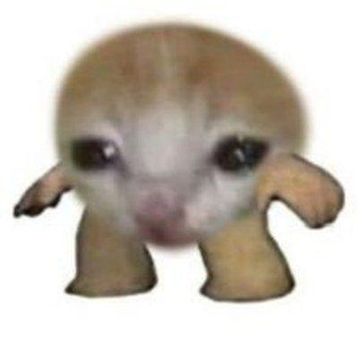 MajkiZXC avatar