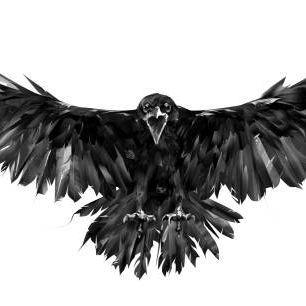 Player Crow_NR avatar
