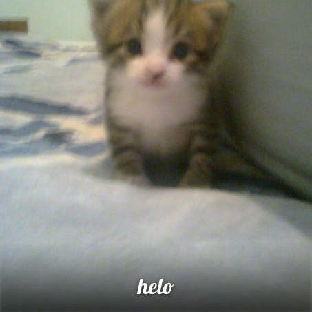 iwntpeek