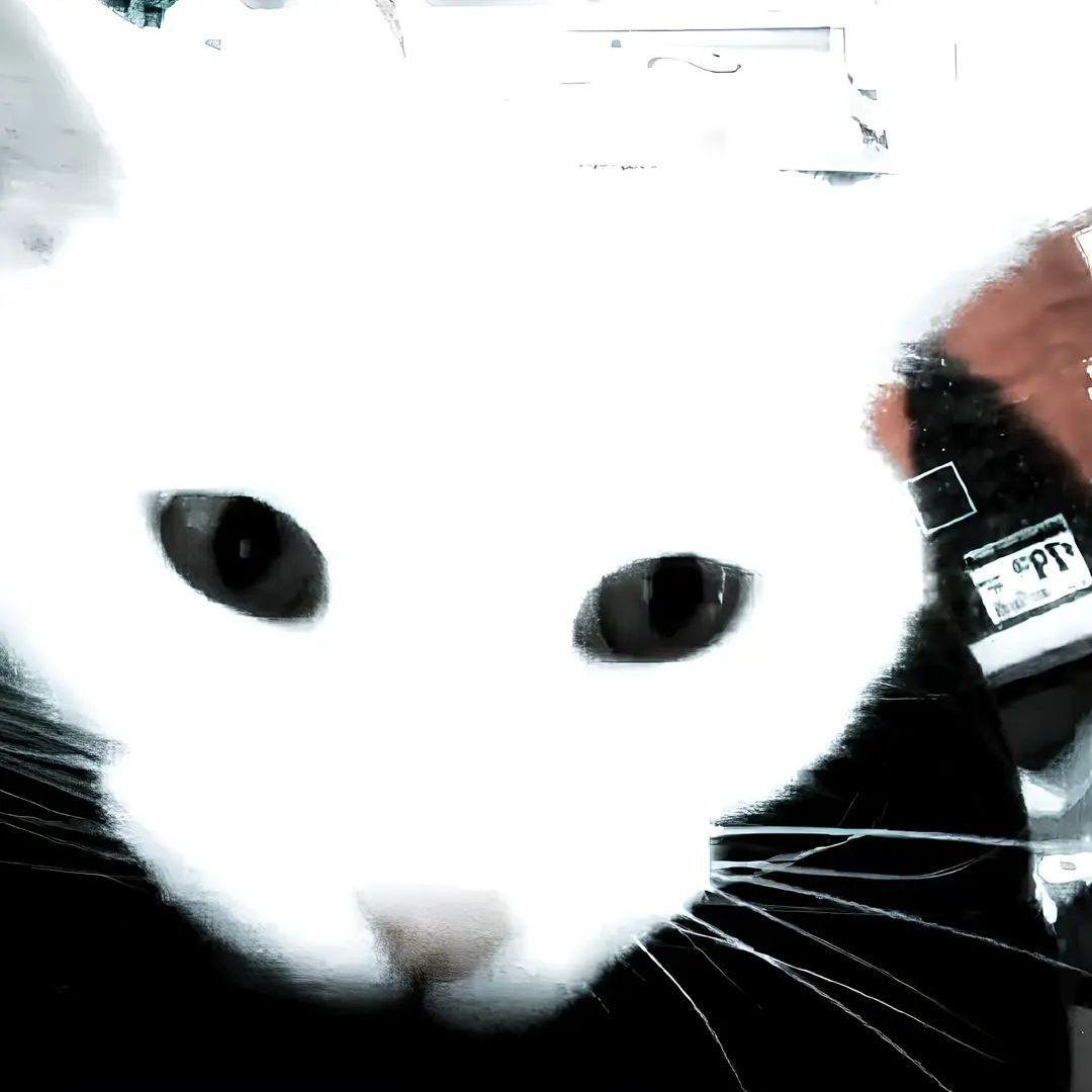 keffir01 avatar