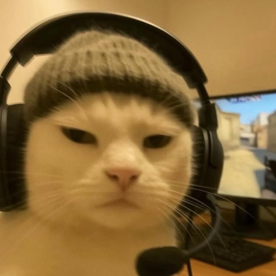 m4xs1m4l avatar