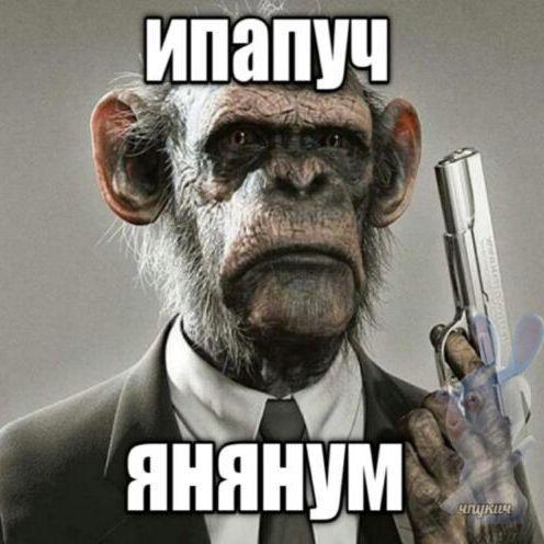 Siroziy avatar