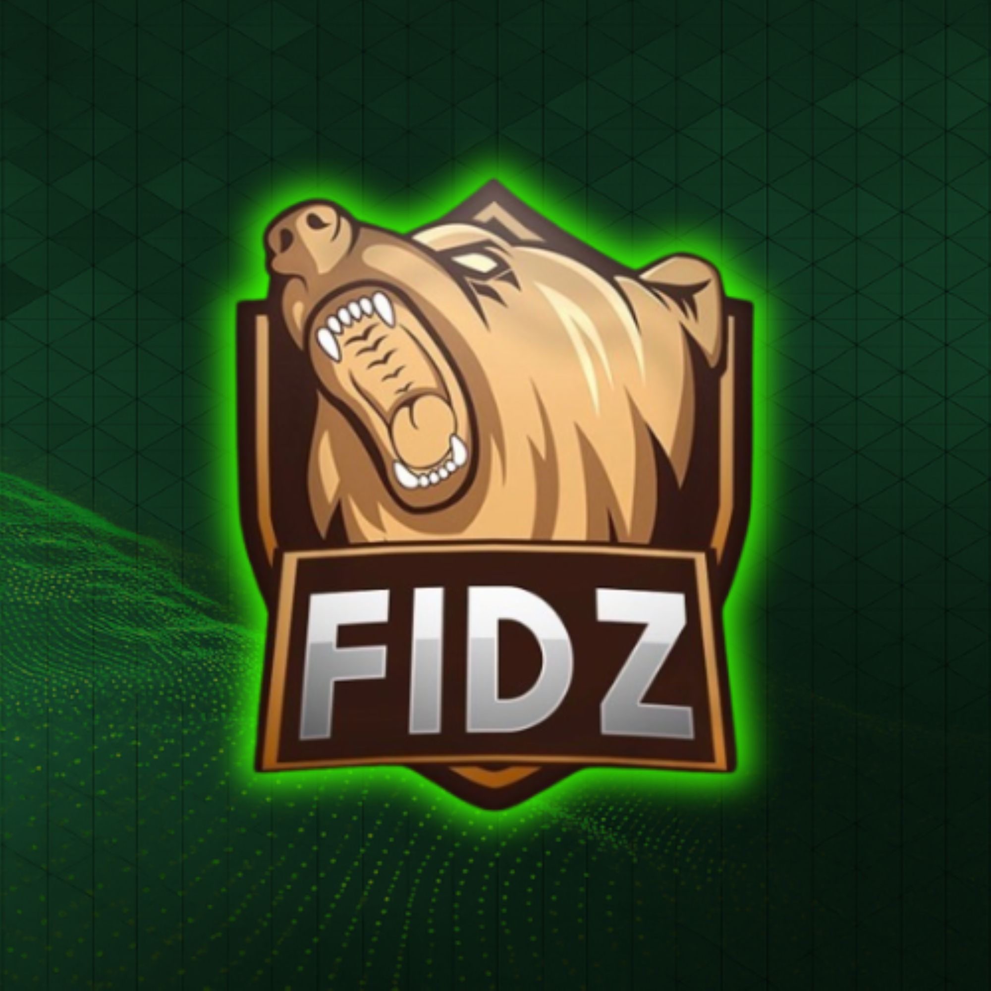 Faceit avatar