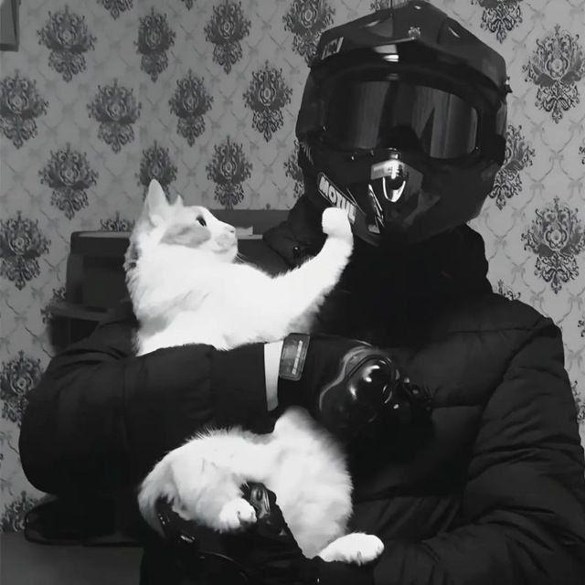 GuVVVj avatar