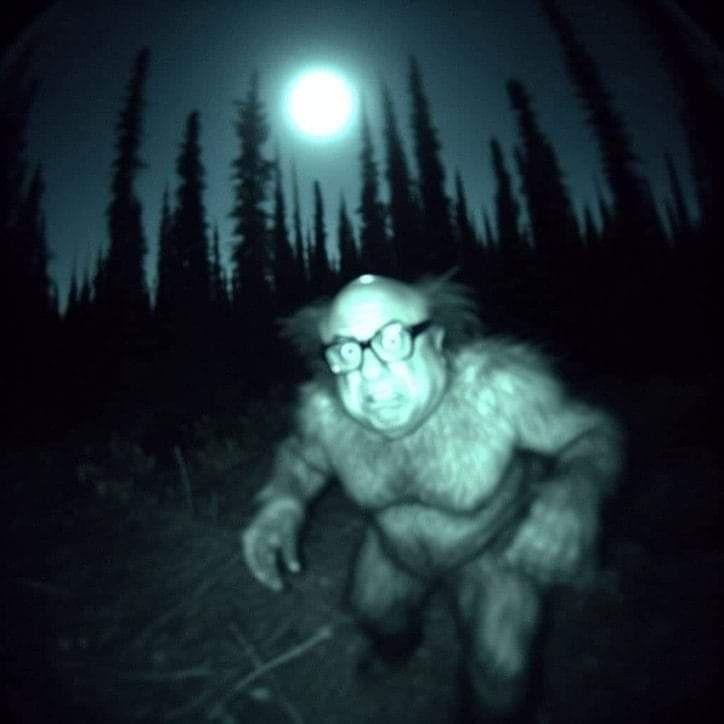 Nigrek avatar