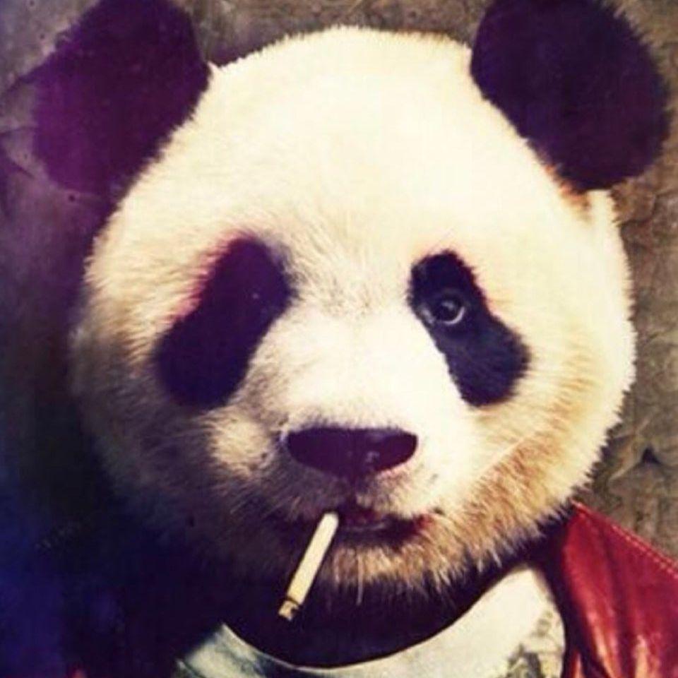 EscAAAA avatar