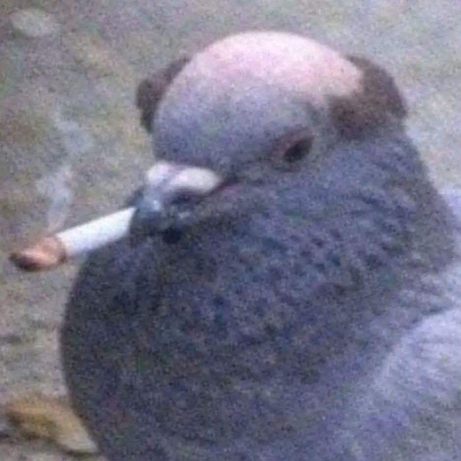 Vapper__ FACEIT avatar