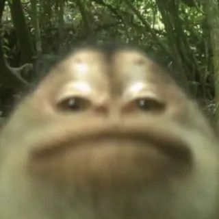 avukbnd