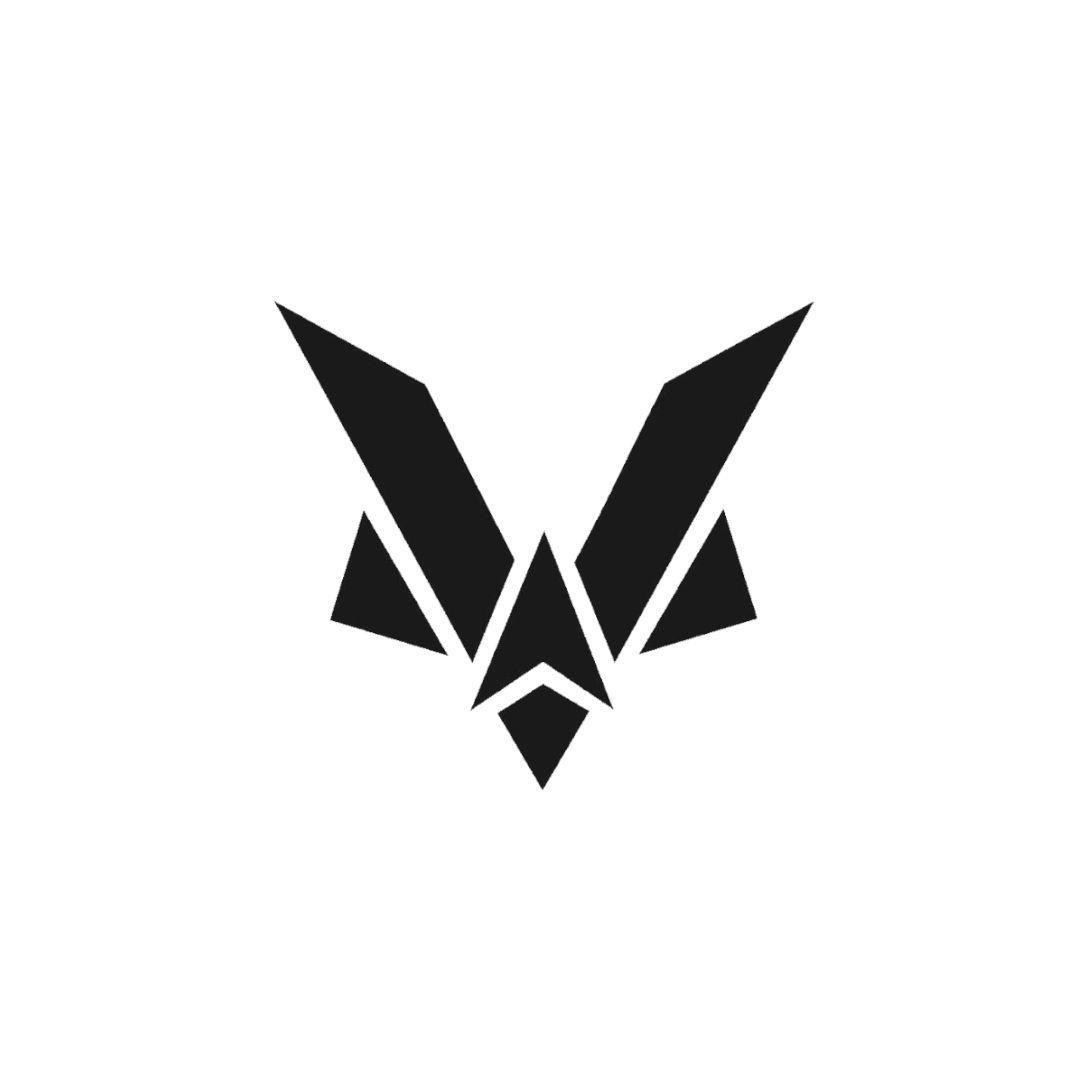 The Vynz