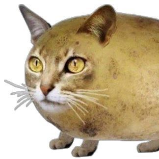 K4RT0F4N1337