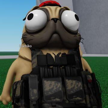 degsar avatar
