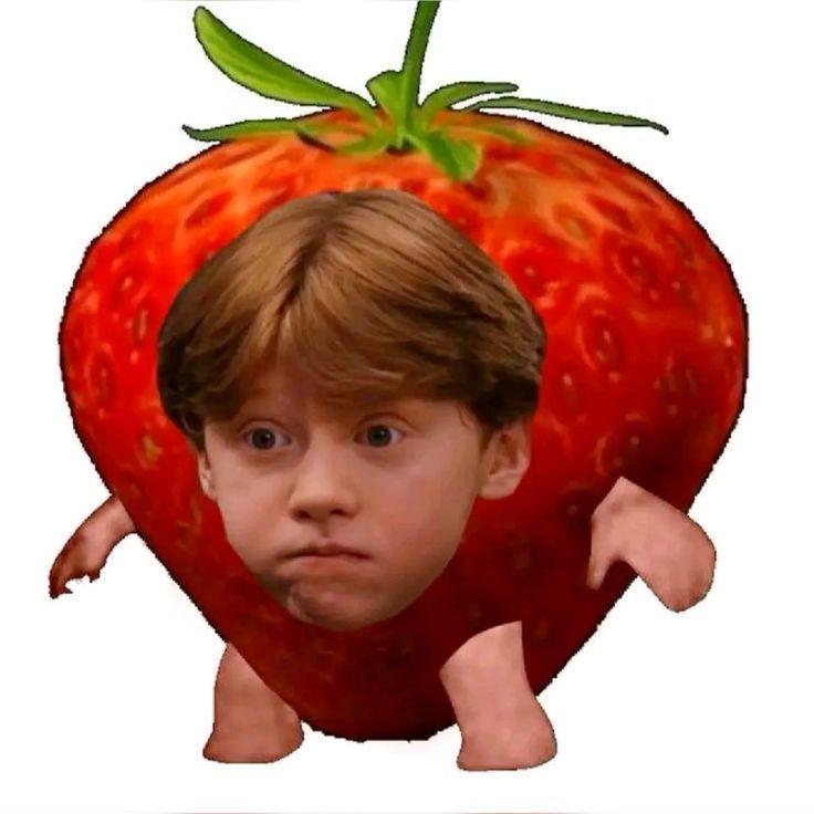 5ky1 avatar