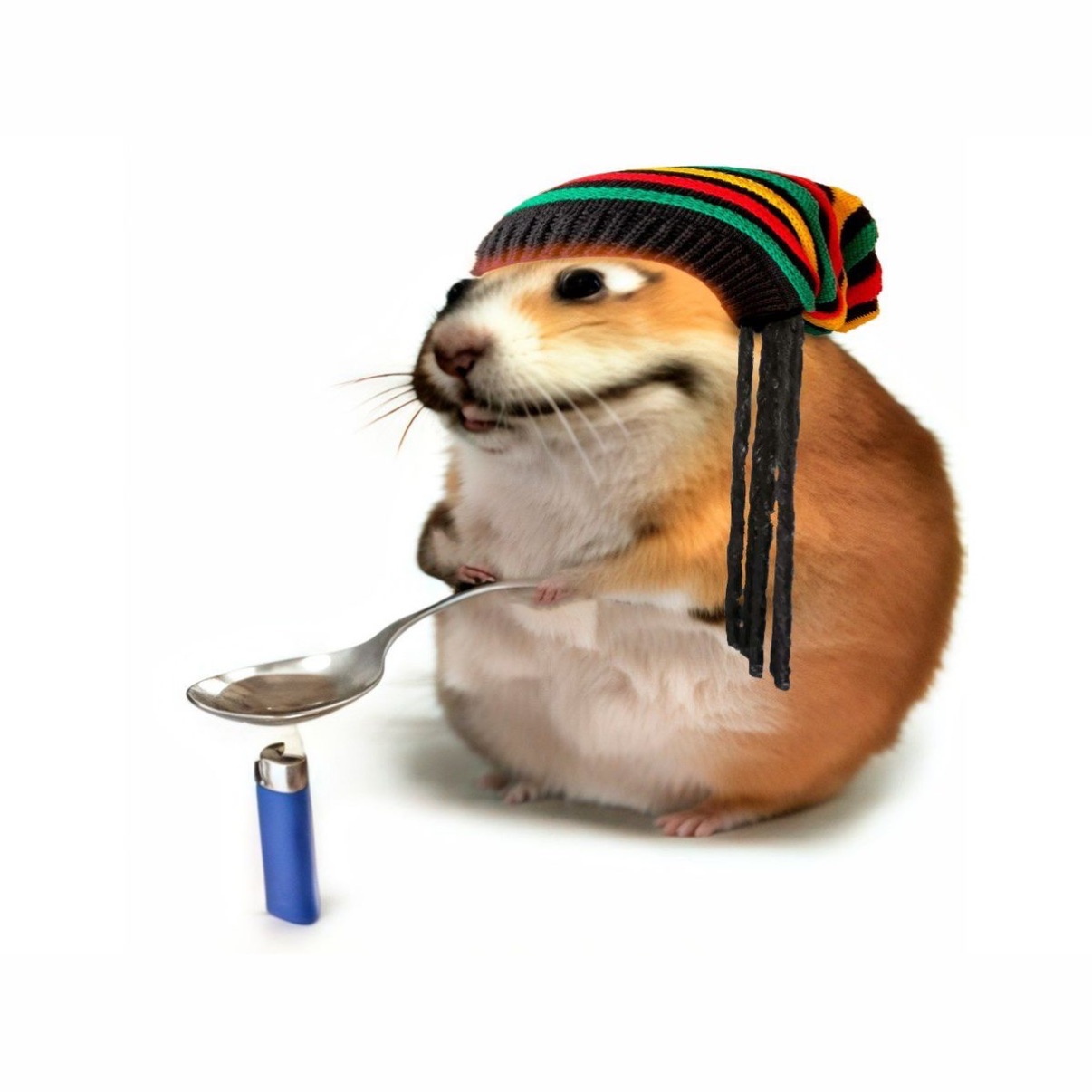 shidezzi