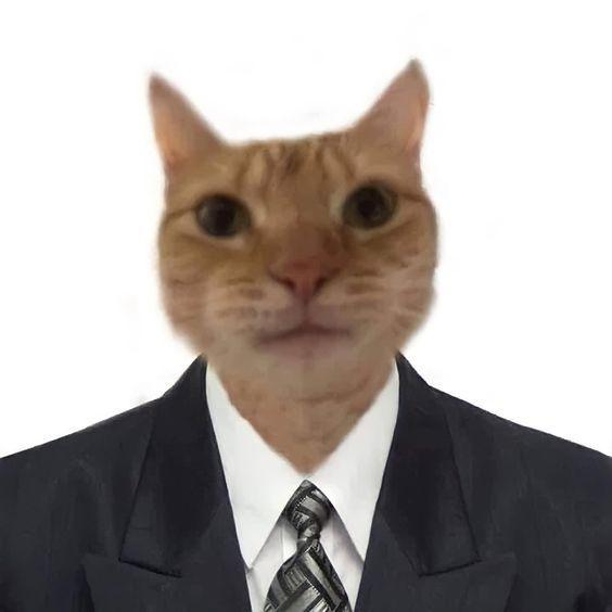 glazasty avatar