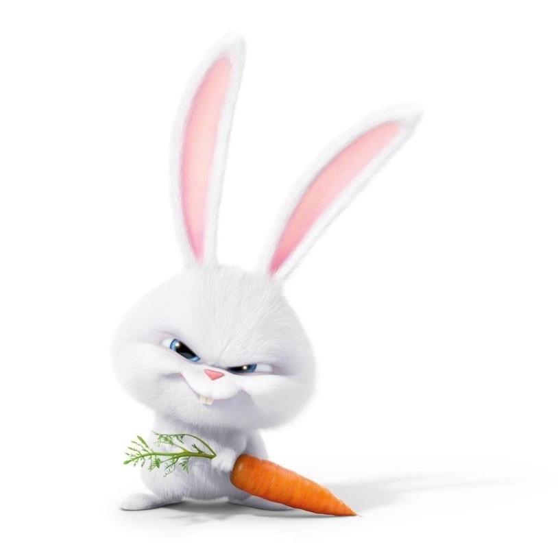 Player rabbit_roger avatar