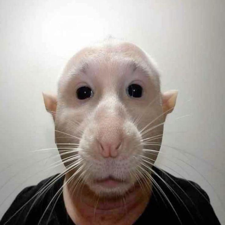 DemonN33 avatar