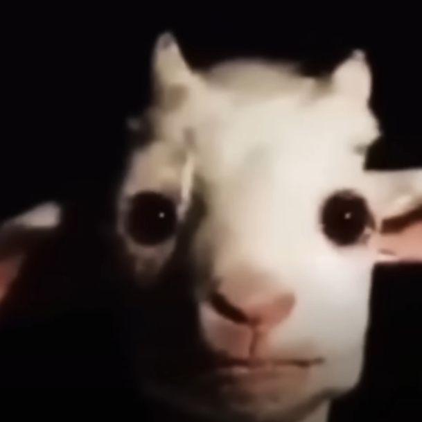 Altron0 avatar