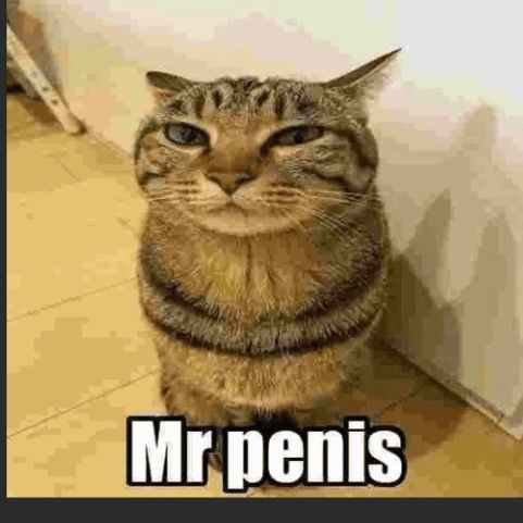 MucTepB1znes