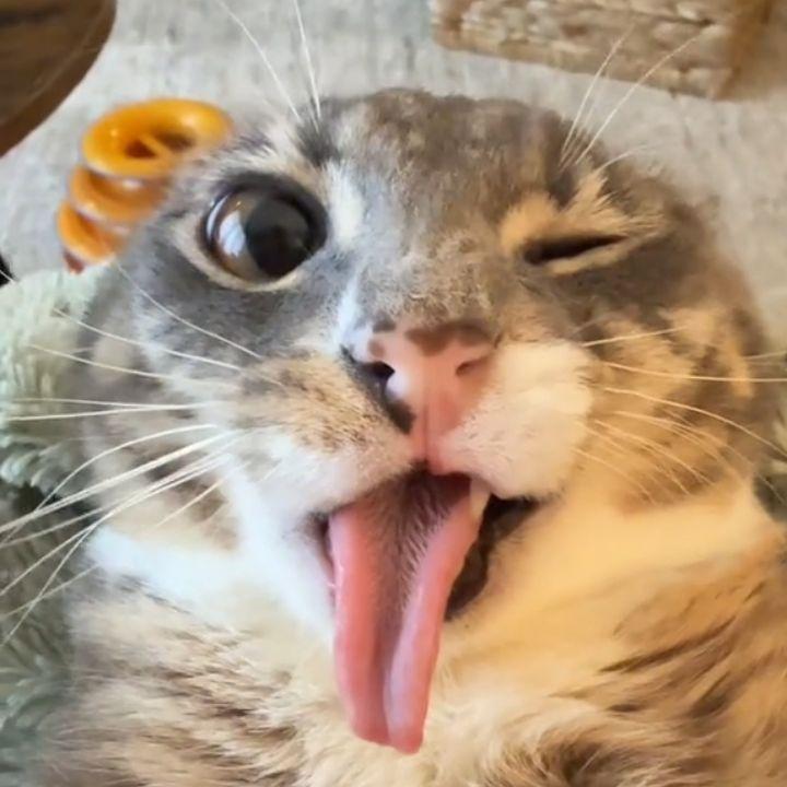 Grayses avatar