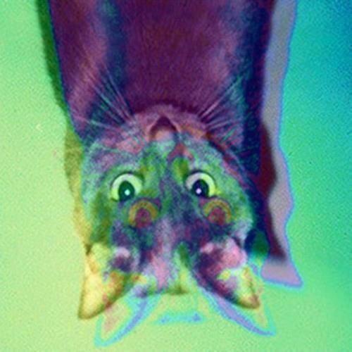 sflt avatar