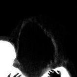eerorovith7 avatar