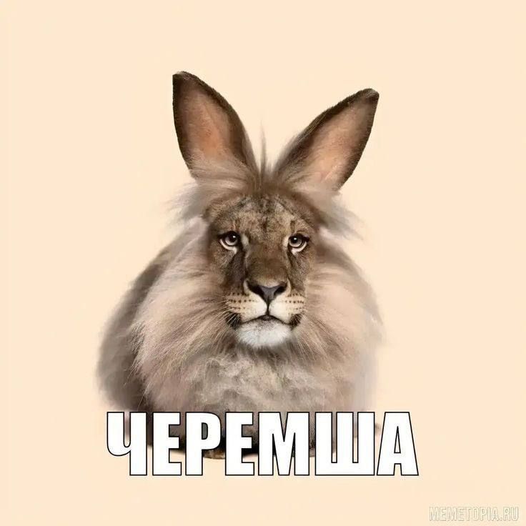team_4eremwaa
