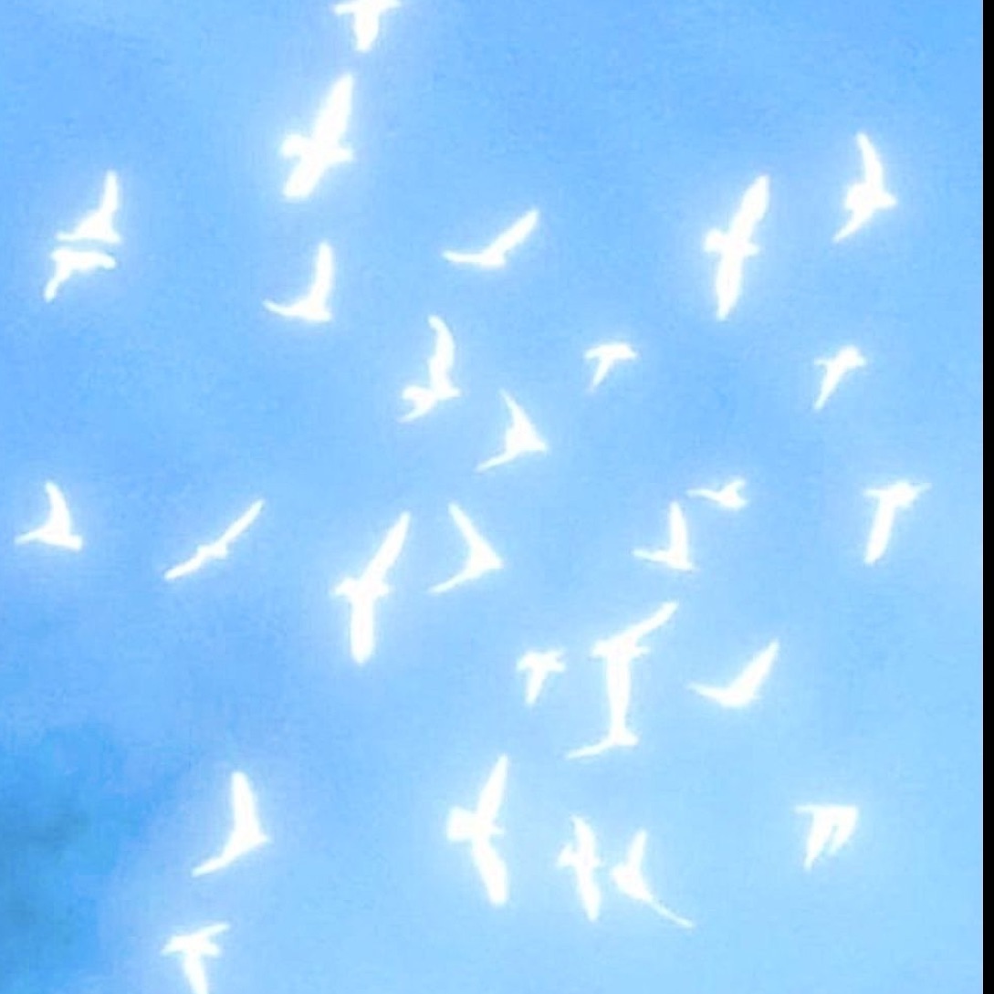 -Sun_