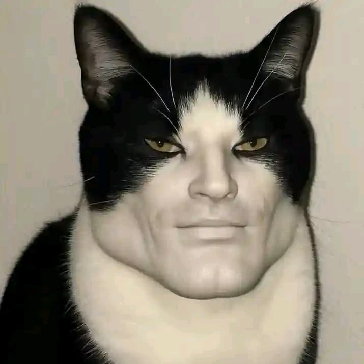 winkill14