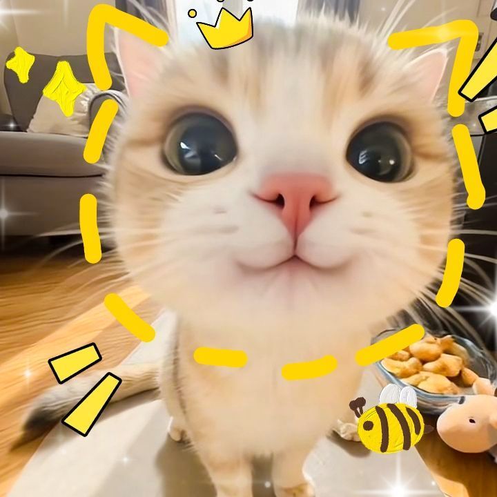 rdfotughuses