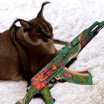 floppa peek