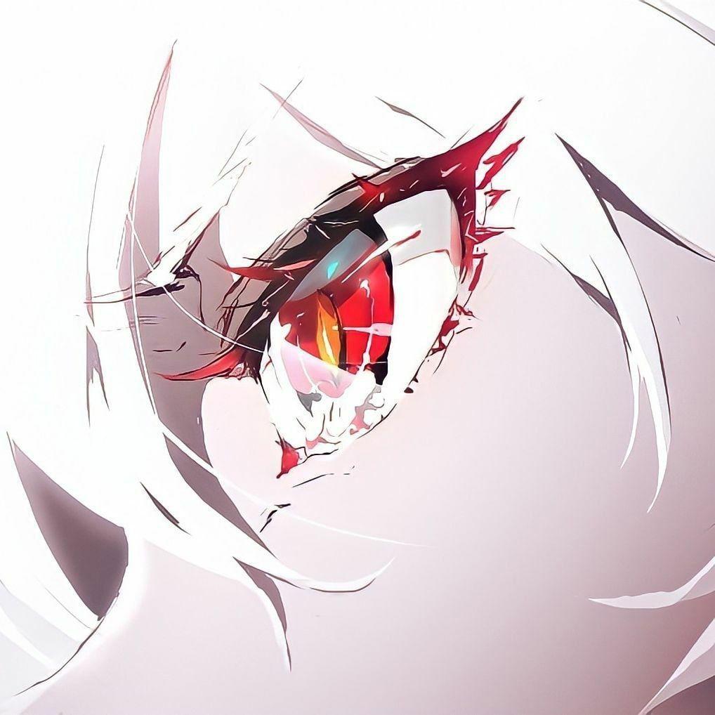 aestivul avatar