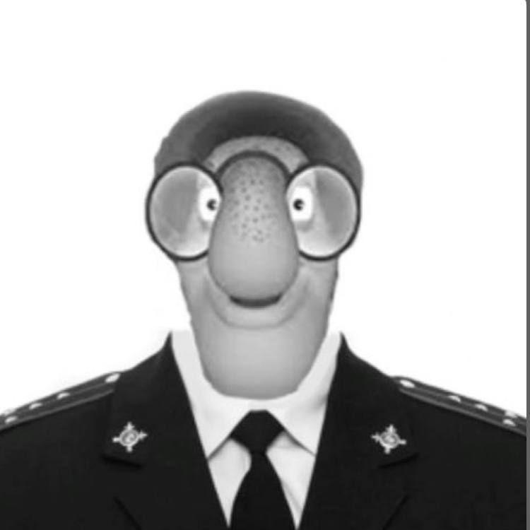 braiz avatar