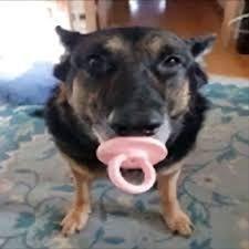 JIEPMOHT0B