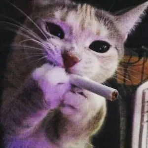 Skeptic_CS