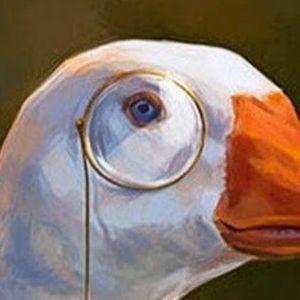 kABASKII avatar