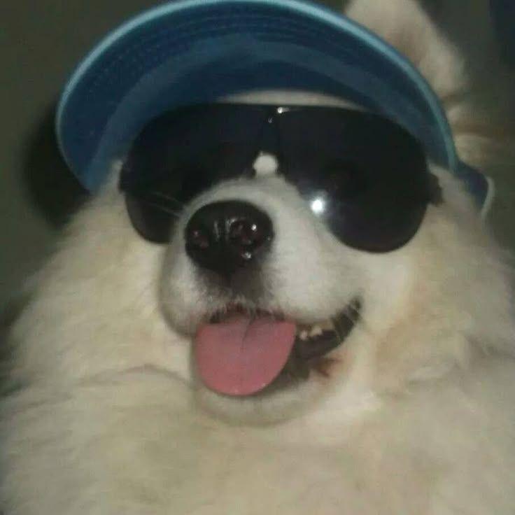 L1nd_D