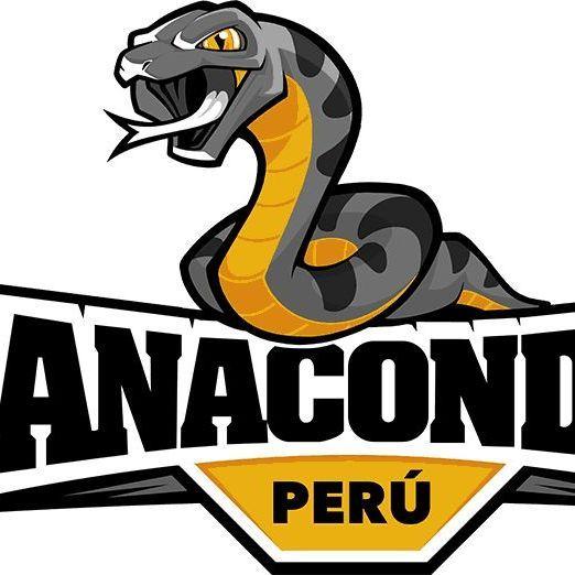 Player Anakondaa007 avatar